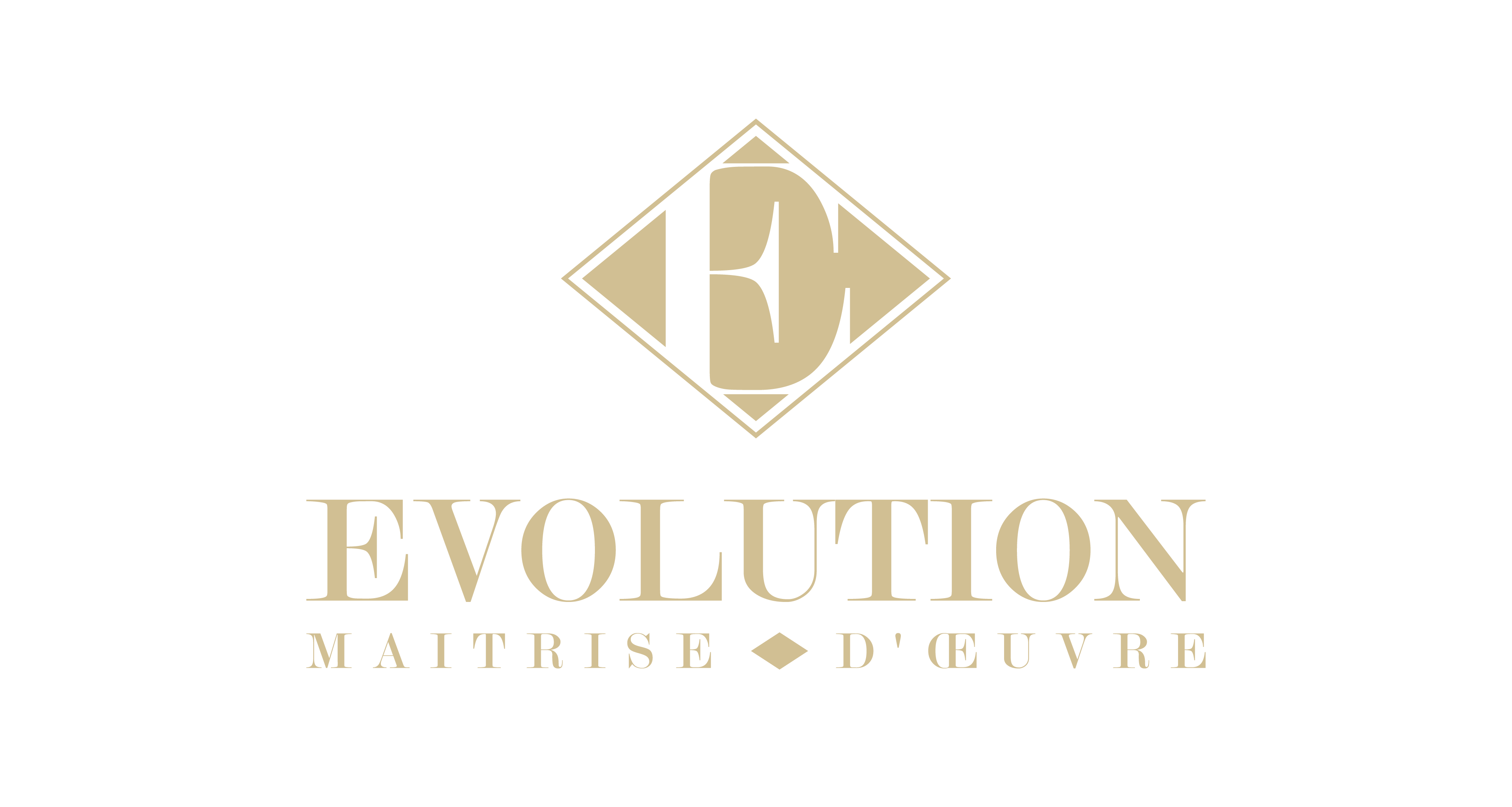 Logo Evolution MOE sur fond sombre